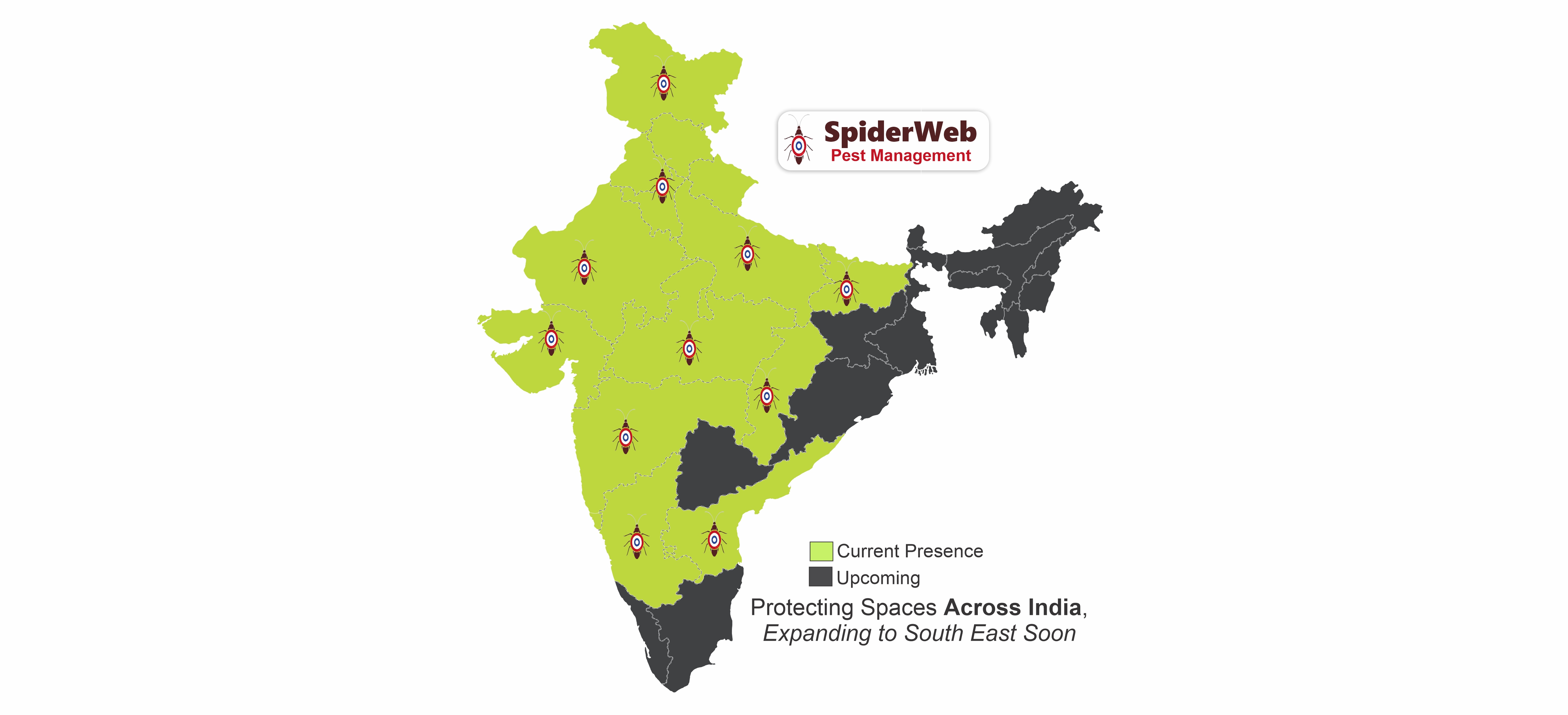 Spider Web Pest Management LLP